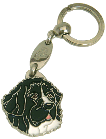 LANDSEER - Medagliette per cani, medagliette per cani incise, medaglietta, incese medagliette per cani online, personalizzate medagliette, medaglietta, portachiavi